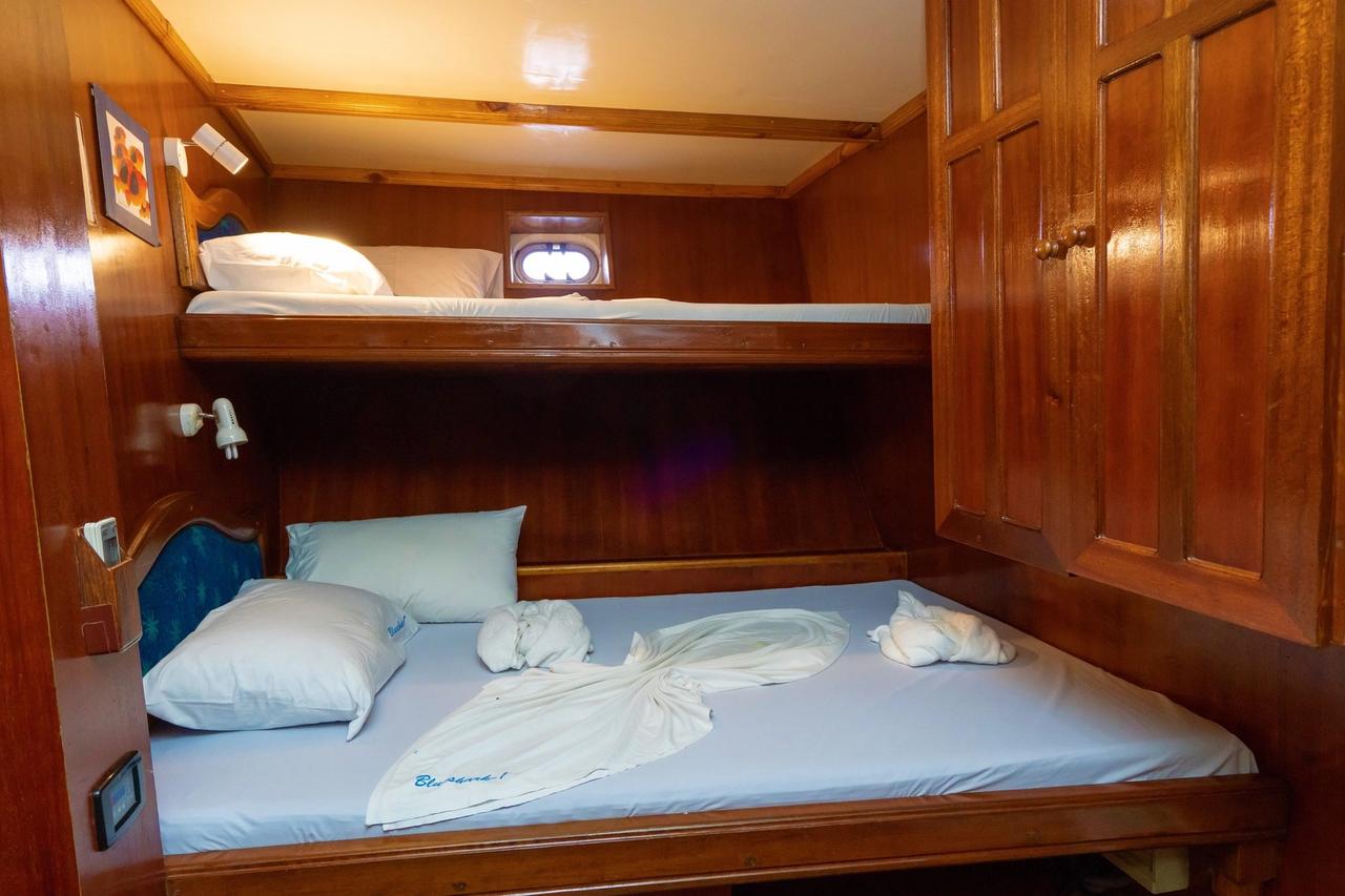 Cabina de Blue Shark 1 con cama doble y cama individual superior