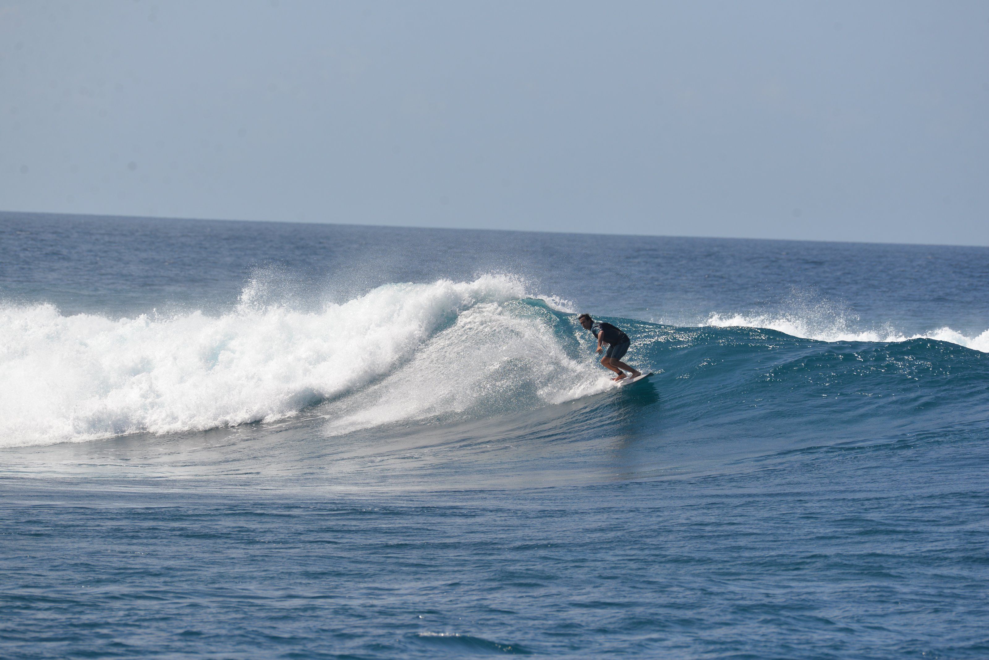 Surfista en una ola que rompe sobre el arrecife en Maldivas, con agua azul y cielo despejado