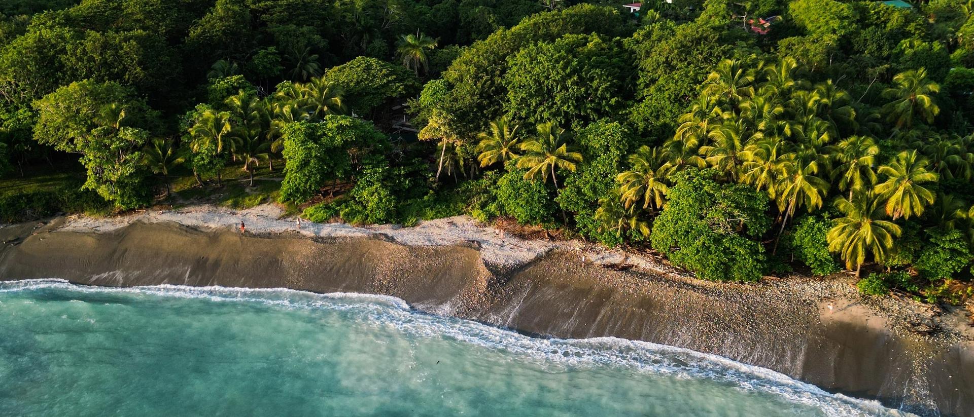 Vista aérea de una costa de Costa Rica con selva tropical, palmeras y una playa de agua turquesa