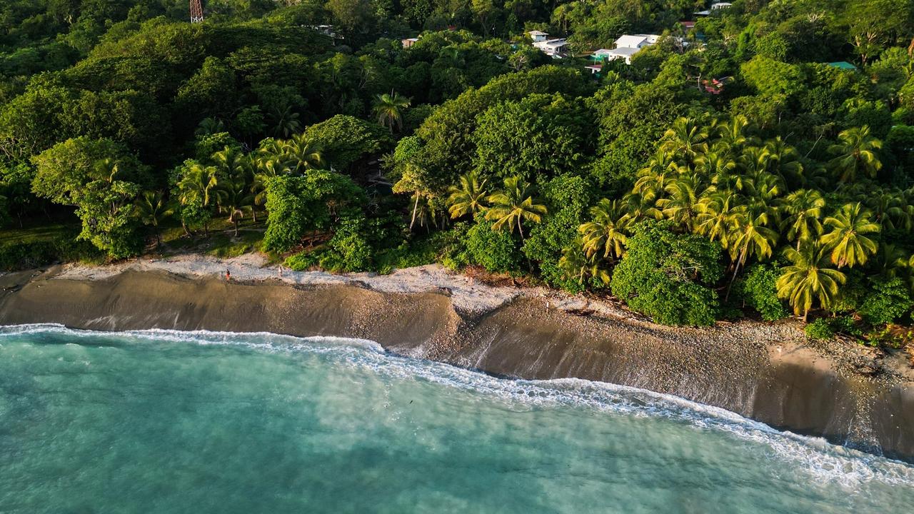Vista aérea de una costa de Costa Rica con selva tropical, palmeras y una playa de agua turquesa