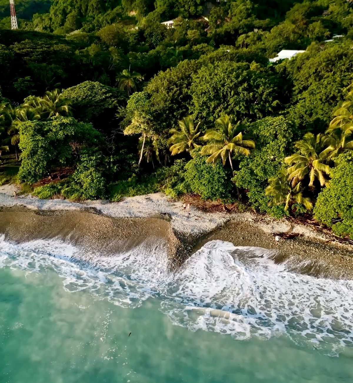 Vista aérea de la selva que llega hasta la playa en el Pacífico de Costa Rica