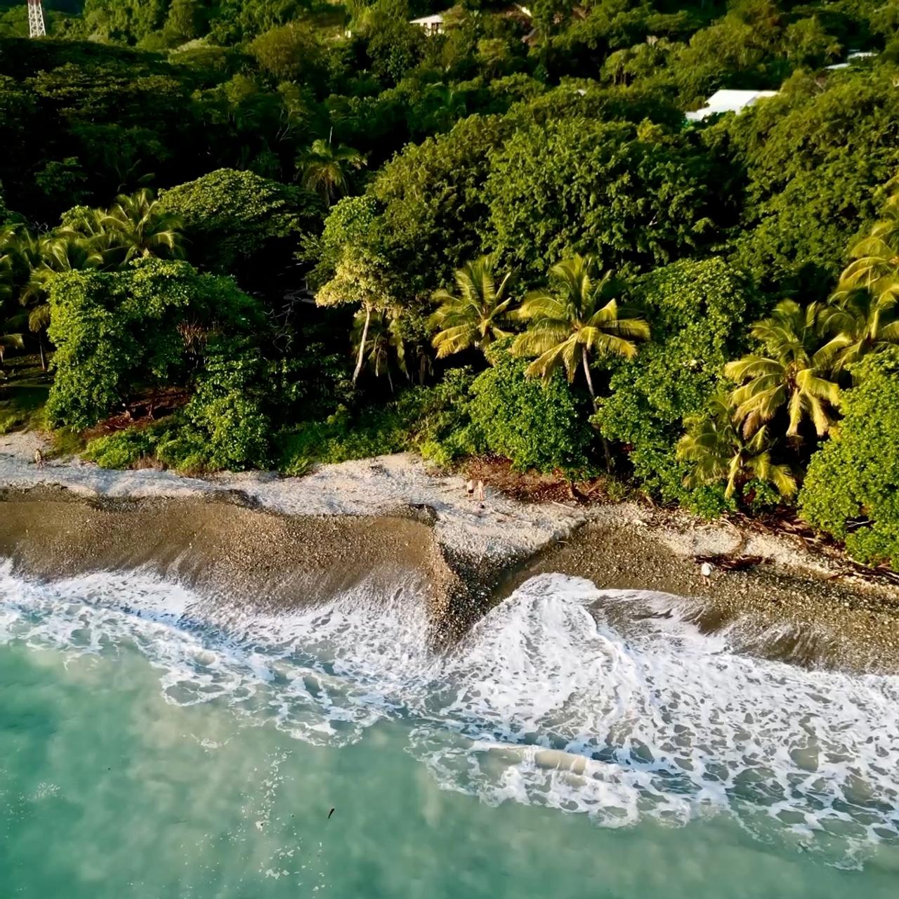 Vista aérea de la selva que llega hasta la playa en el Pacífico de Costa Rica