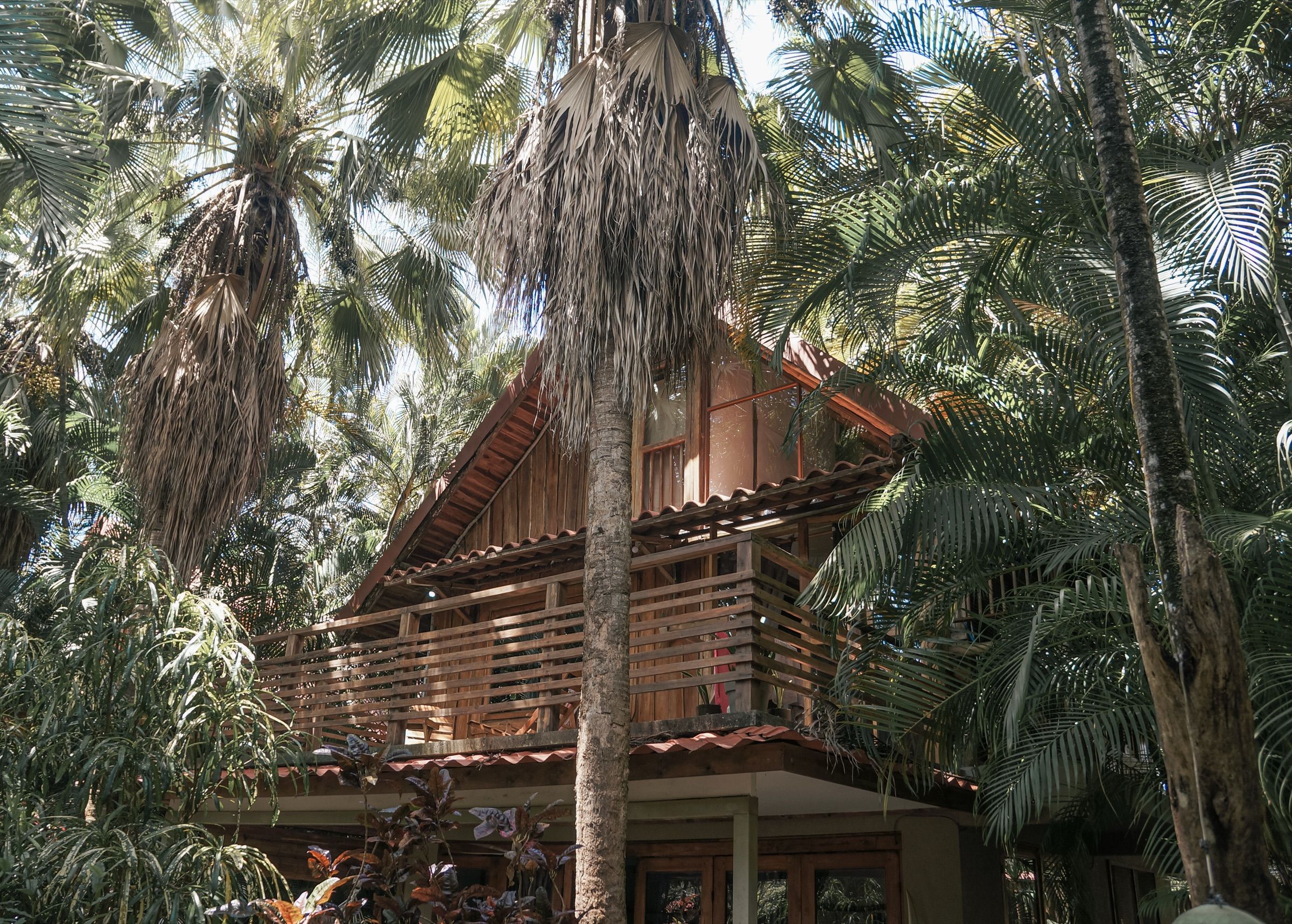 Casa de madera entre palmeras en Santa Teresa