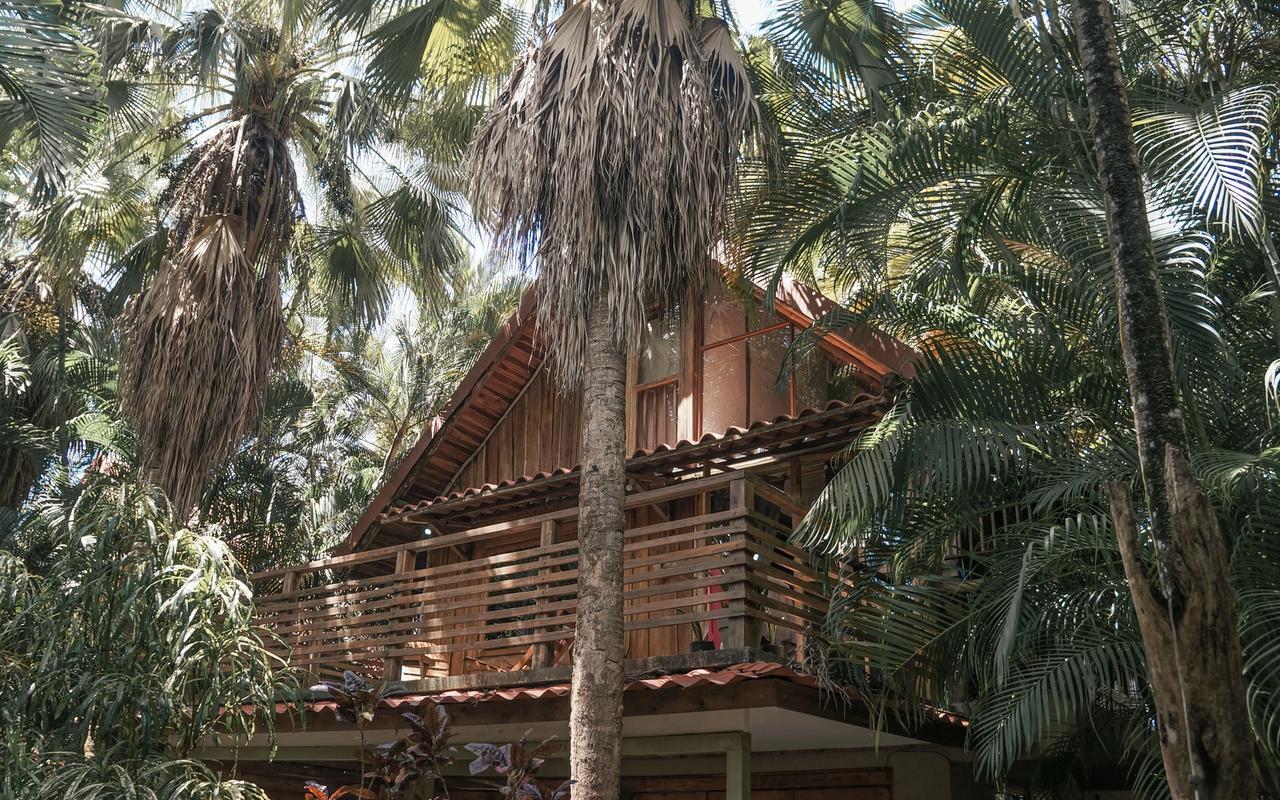 Casa de madera entre palmeras en Santa Teresa