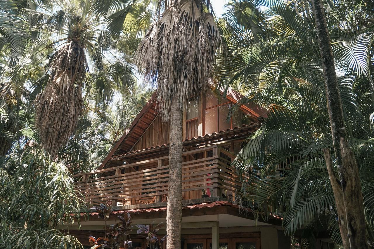 Casa de madera entre palmeras en Santa Teresa