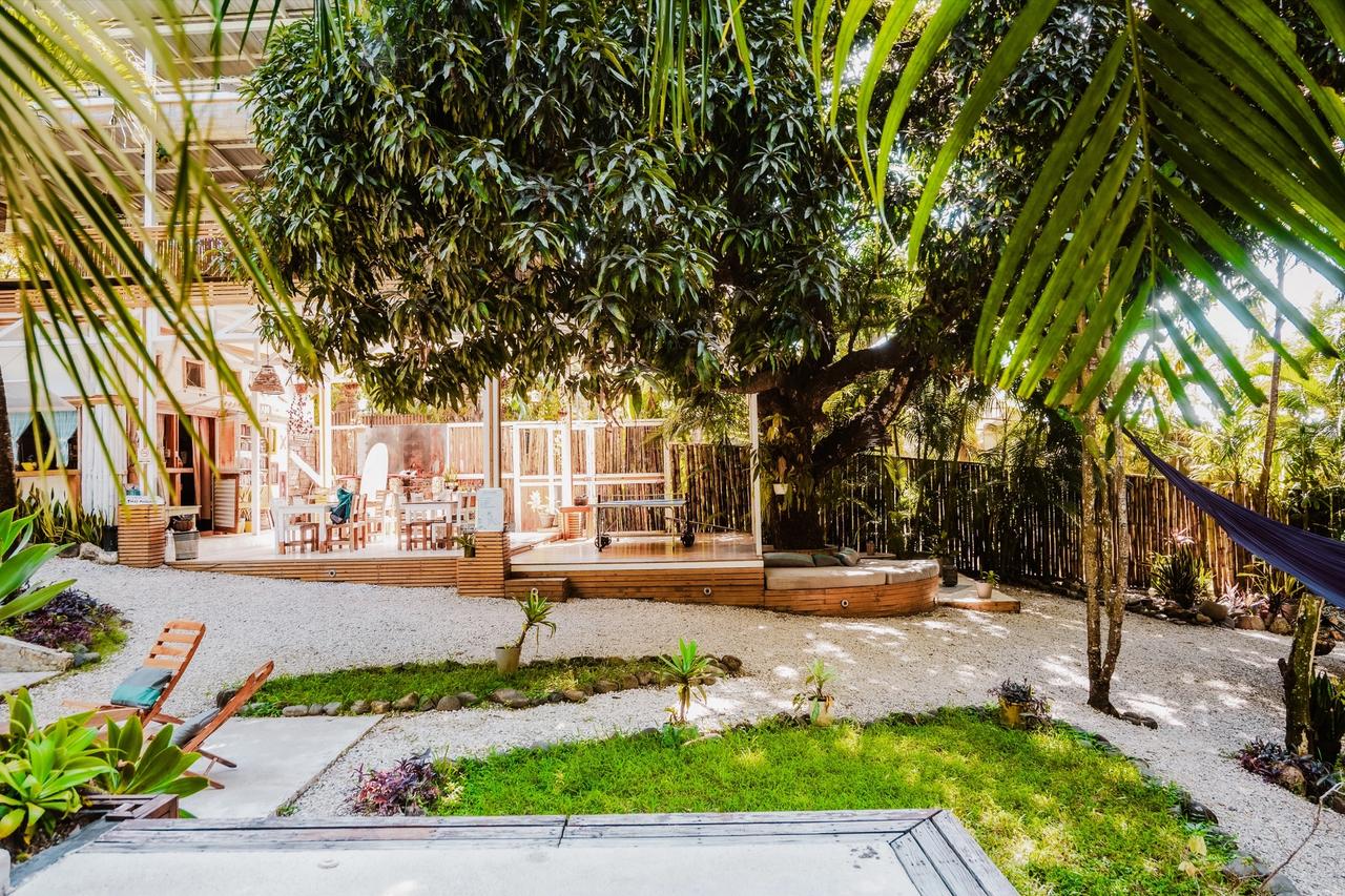 Jardín tropical del alojamiento en Santa Teresa