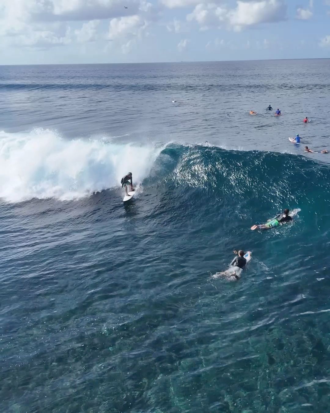 Surfista bajando una ola de arrecife en Maldivas, vista desde el aire