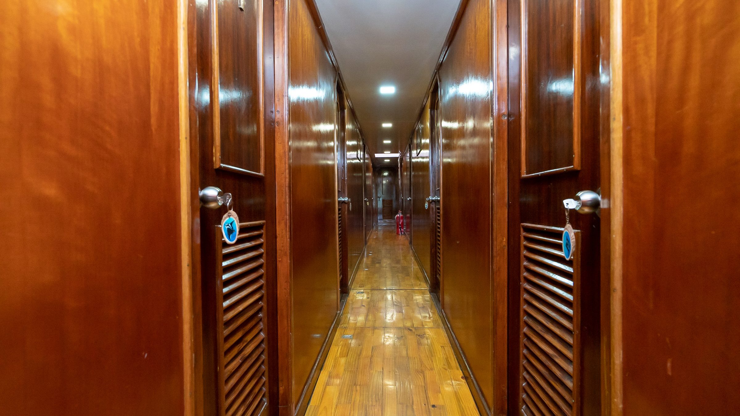 Pasillo interior de madera de Blue Shark 1