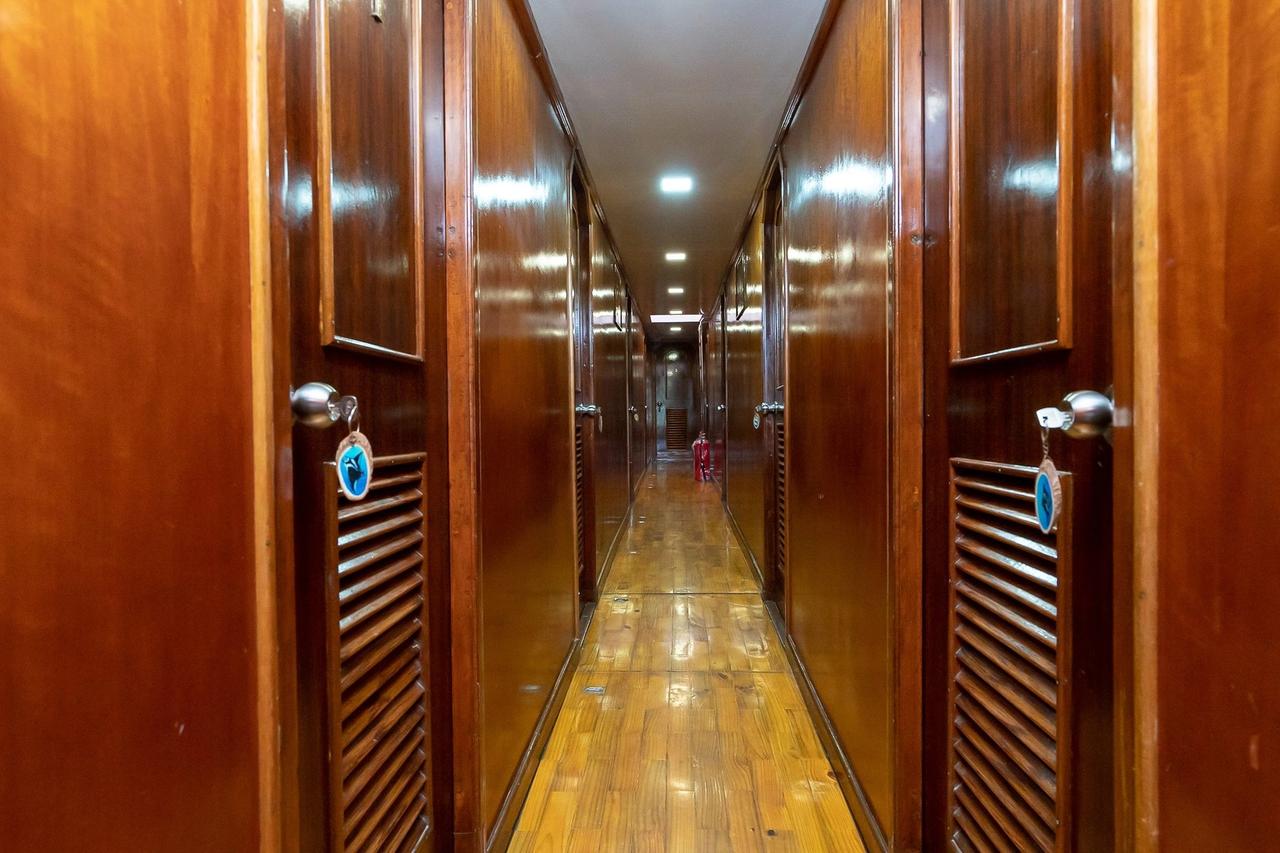 Pasillo interior de madera de Blue Shark 1