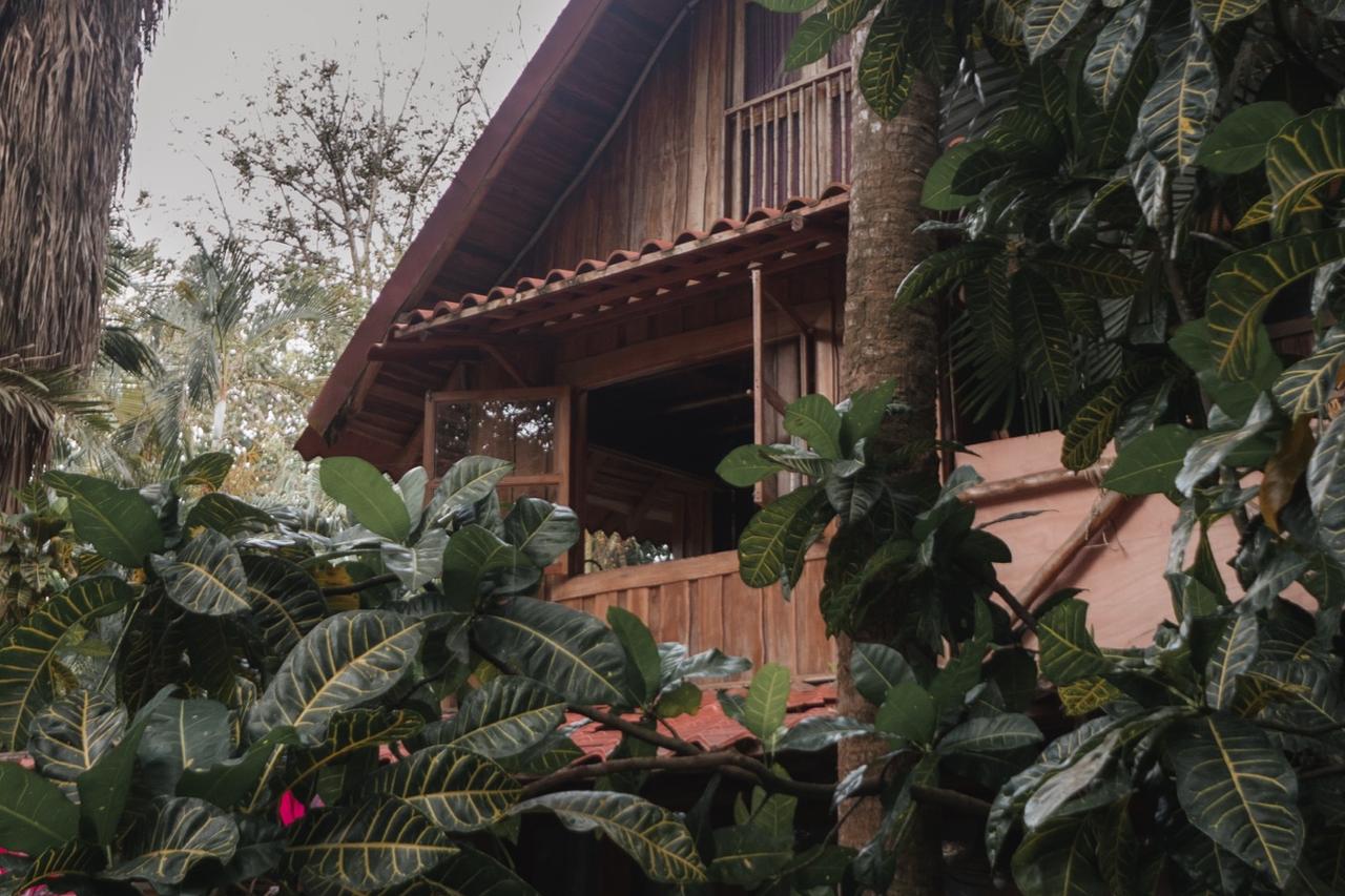 Casa entre la vegetación en Santa Teresa