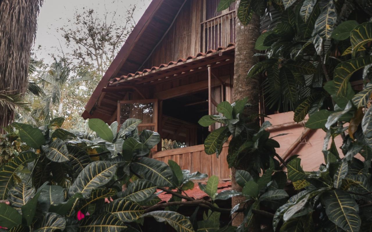 Casa entre la vegetación en Santa Teresa