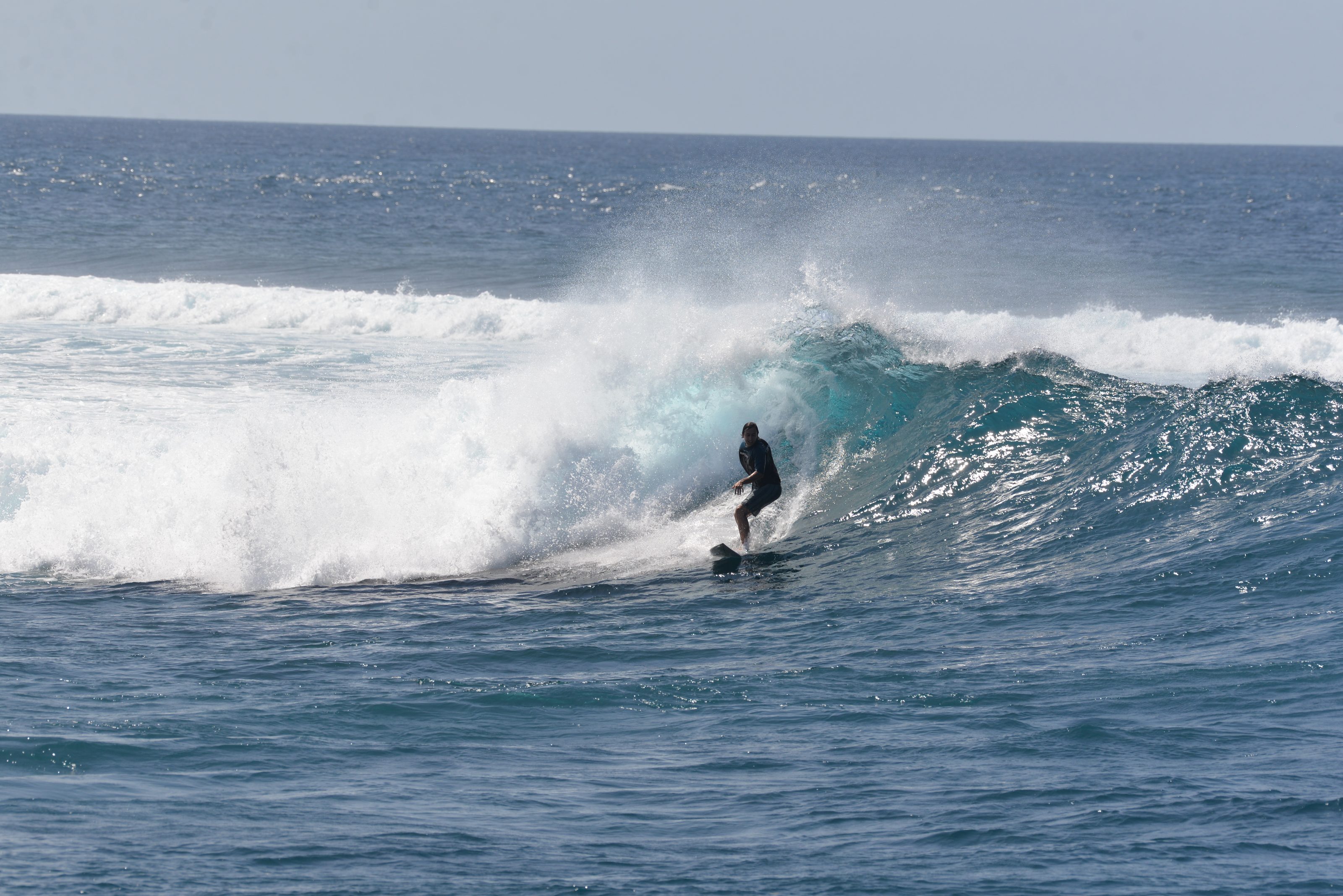 Surfista en una ola turquesa en Maldivas