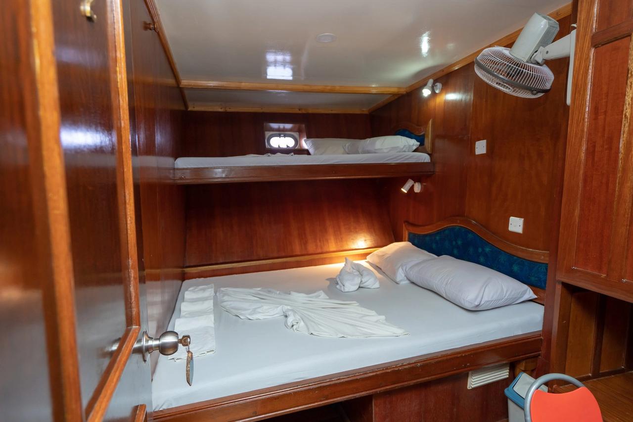 Cabina de Blue Shark 1 con cama doble y cama individual superior