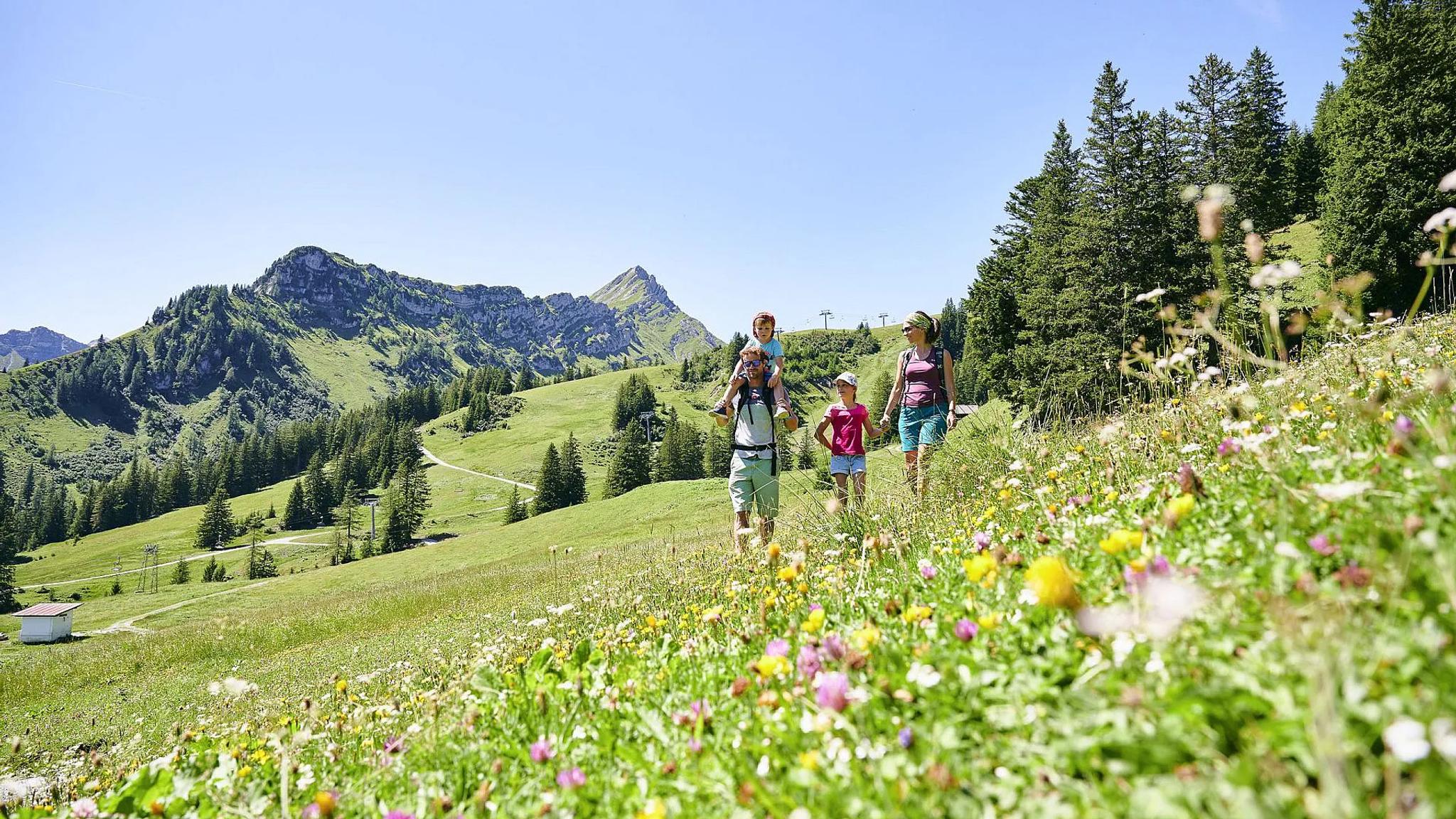 Familienwanderung im Brandnertal auf Blumenwiese
