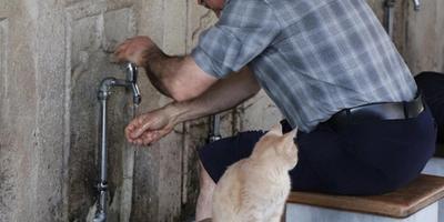 Featured image for وضو: جسمانی طہارت سے روحانی عہد تک