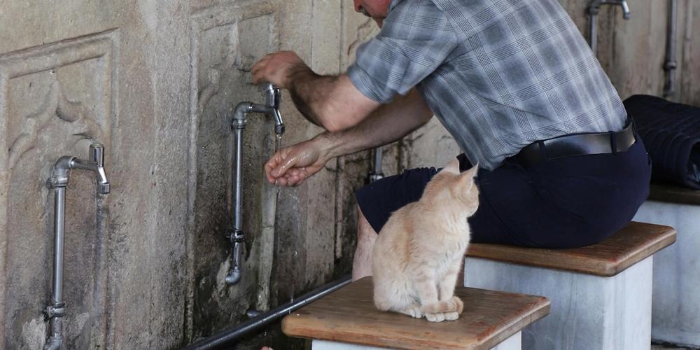 The Secrets of Wudu – From the Blessed Tongue of the Messenger of Allah (PBUH & His Family)