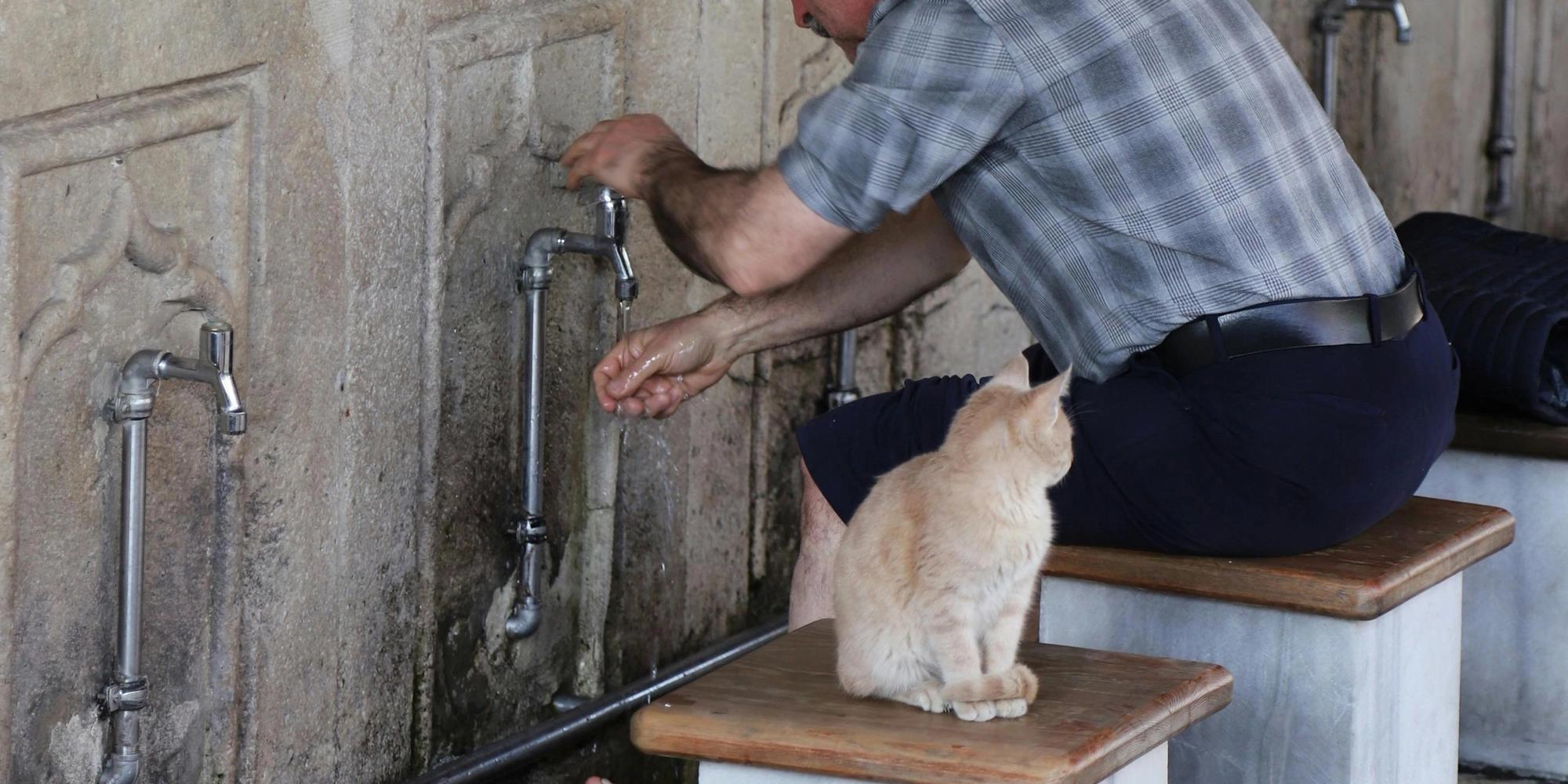 The Secrets of Wudu – From the Blessed Tongue of the Messenger of Allah (PBUH & His Family)