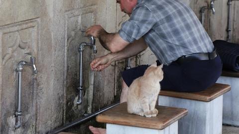 The Secrets of Wudu – From the Blessed Tongue of the Messenger of Allah (PBUH & His Family)
