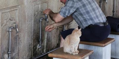 The Secrets of Wudu – From the Blessed Tongue of the Messenger of Allah (PBUH & His Family) Featured image for The Secrets of Wudu – From the Blessed Tongue of the Messenger of Allah (PBUH & His Family)