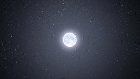 Those who shine like the moon of the night