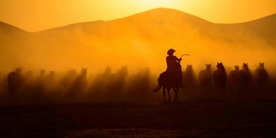 Featured image for اتحاد کی طاقت – وحدت میں برکت