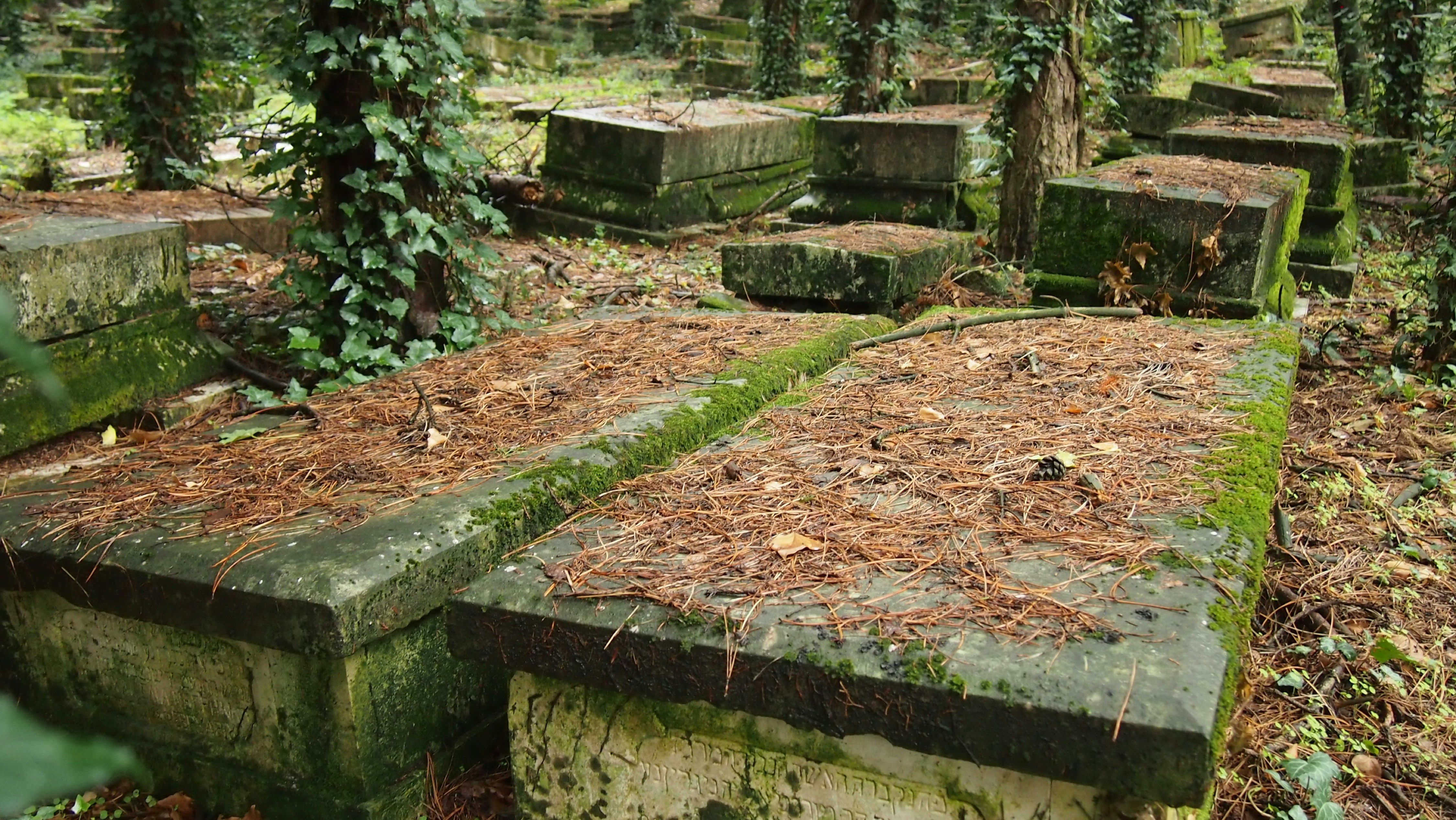 قبر کے. سوالاتِ کیا ہیں؟