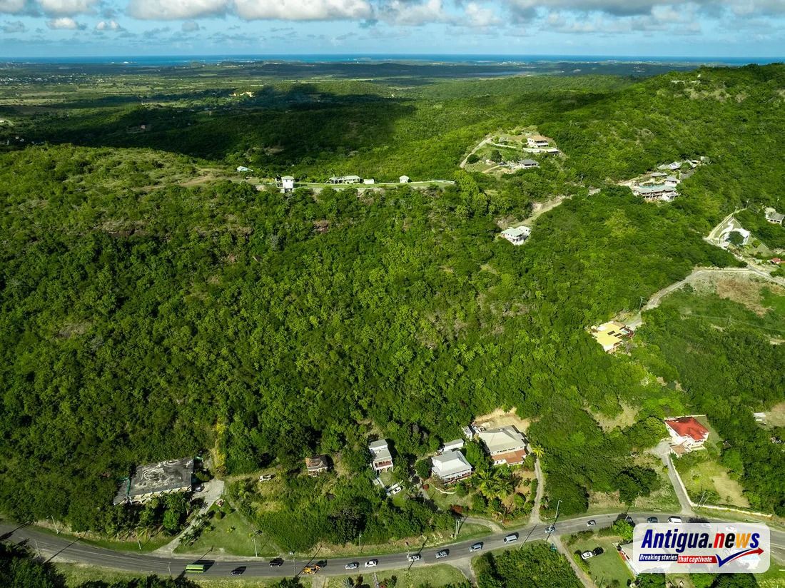 Browne Criticises Land Banking as Tourism Plots Remain Undeveloped