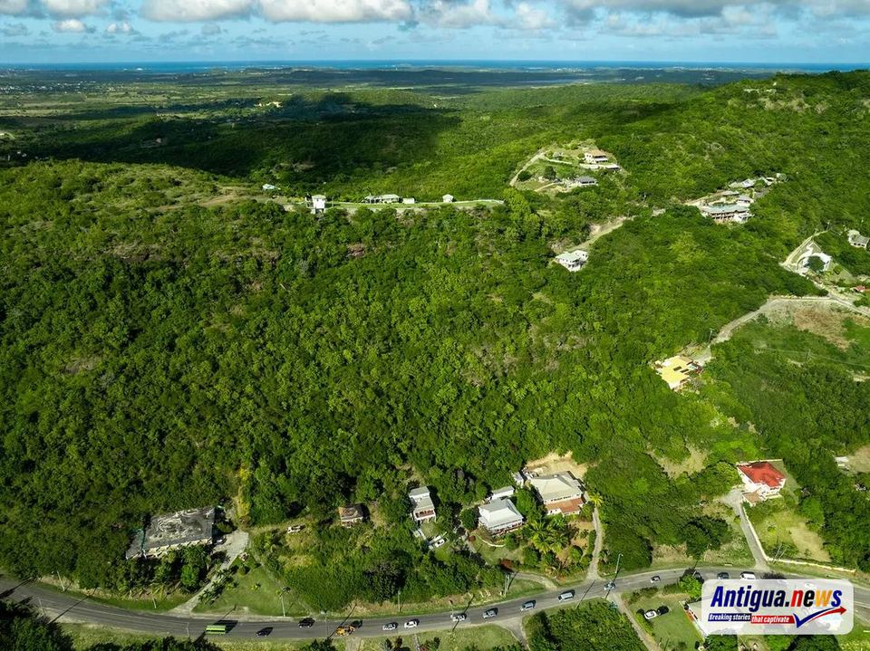 Browne Criticises Land Banking as Tourism Plots Remain Undeveloped ...