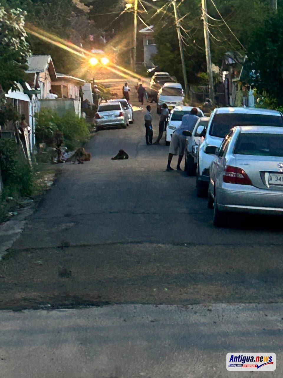 Decomposed Body of Man Found in Grays Farm Home