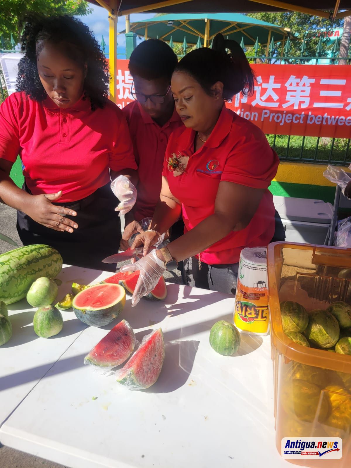 Chinese Partners Join Social Protection Board in Successful Food Distribution