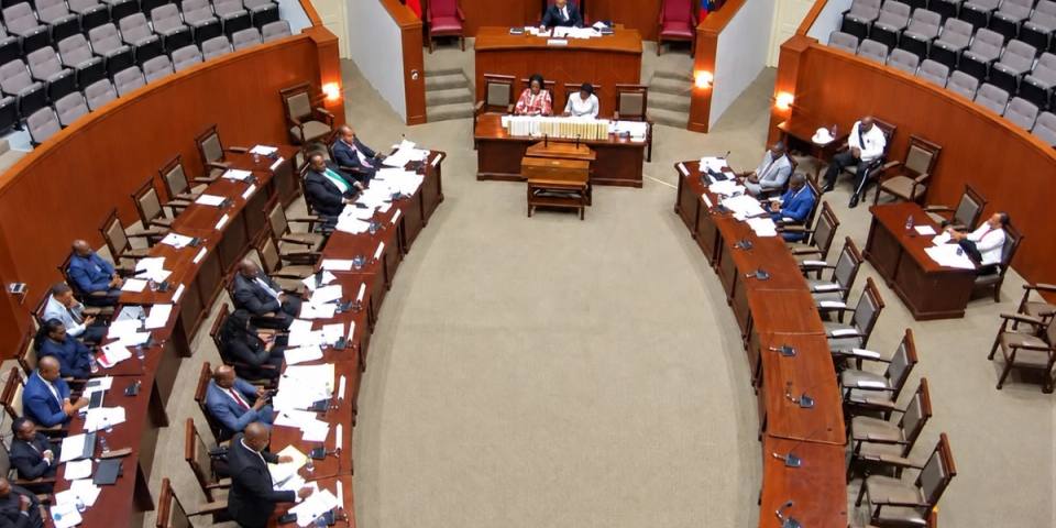 House Passes Firearms Amendment Bill to Raise Maximum Prison Term to 30 Years
