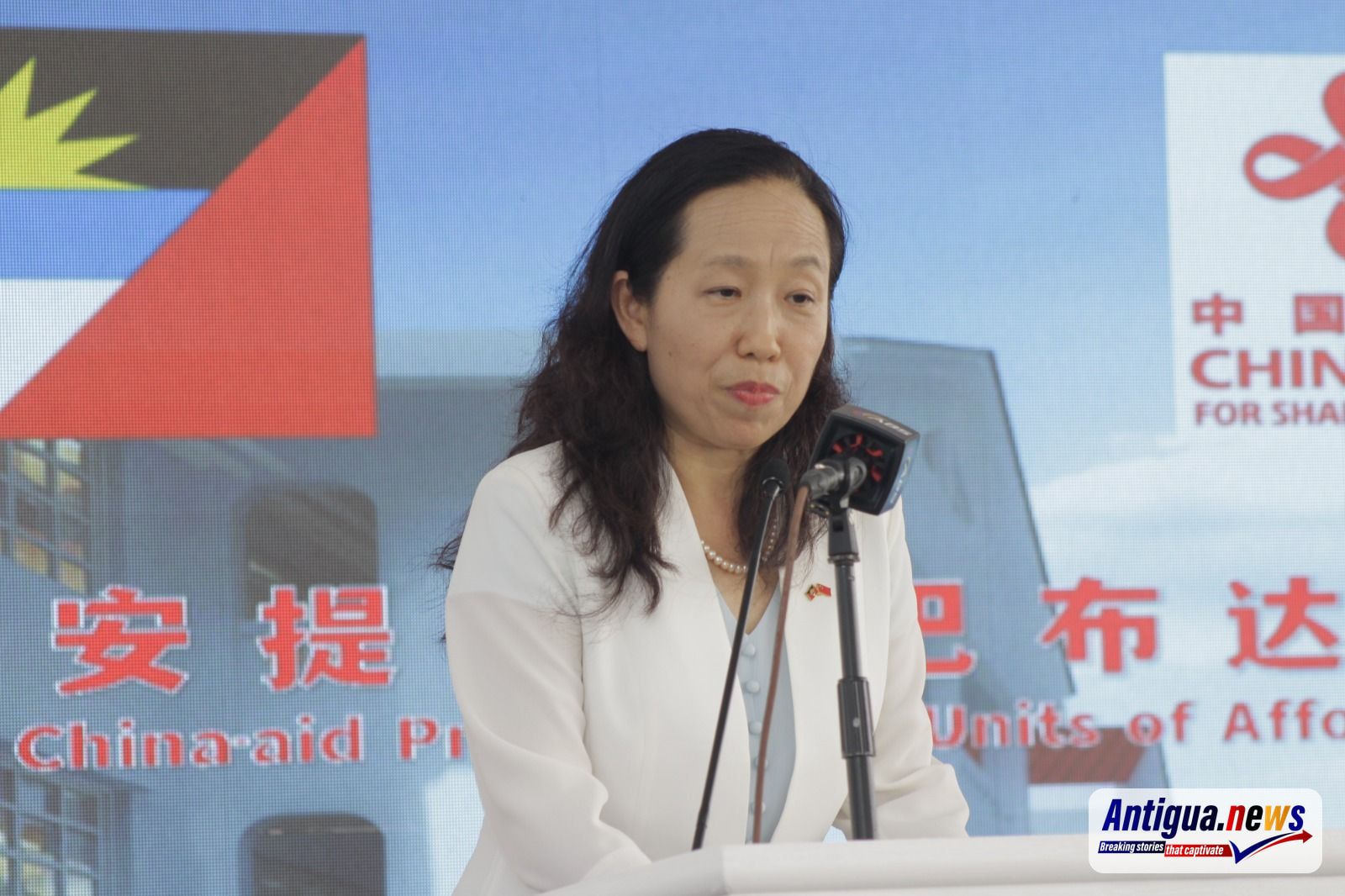 Chinese Ambassador Zhang Wei 