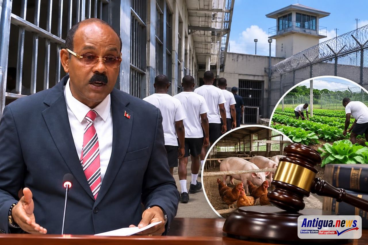 Browne Orders 30-Day Prison Reform Plan as Government Prepares for ...