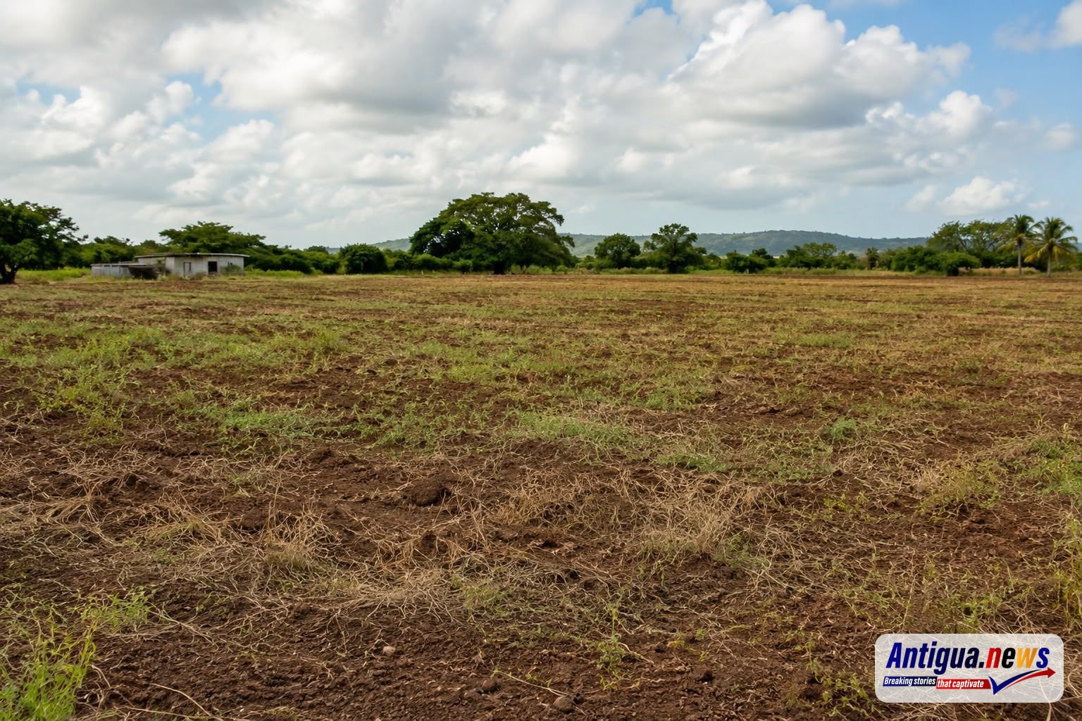 Farmers Given 90 Days to Plant as Government Launches 102-Acre Land-Clearing Programme