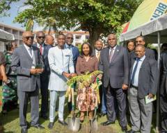 A Living Legacy: Flamboyant Tree Planted in Grenada to Honour Outgoing Afreximbank President Benedict Oramah
