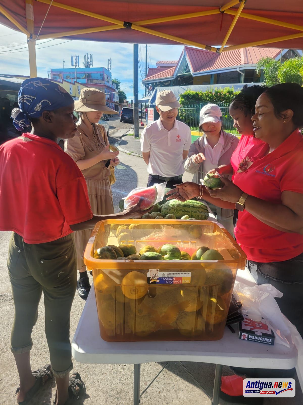Chinese Partners Join Social Protection Board in Successful Food Distribution