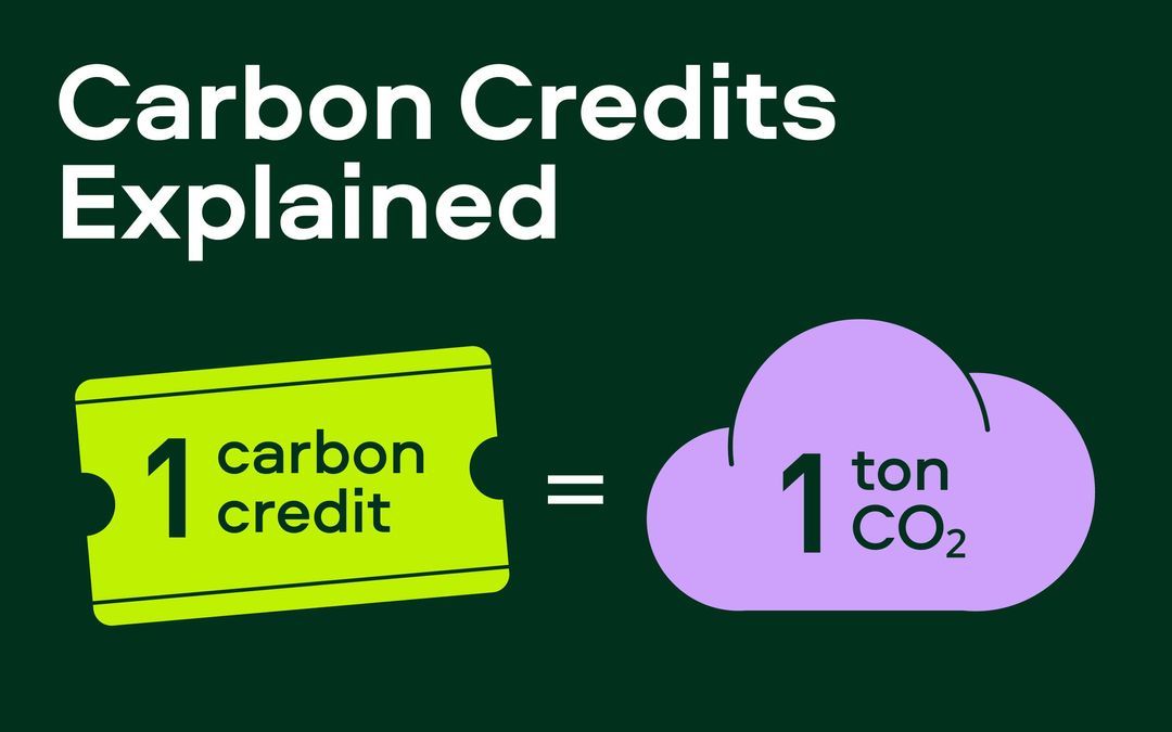 Banner for What is a carbon credit offtake agreement?