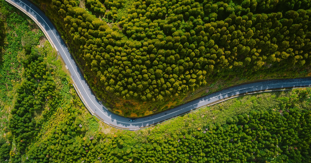 carbon offset credit