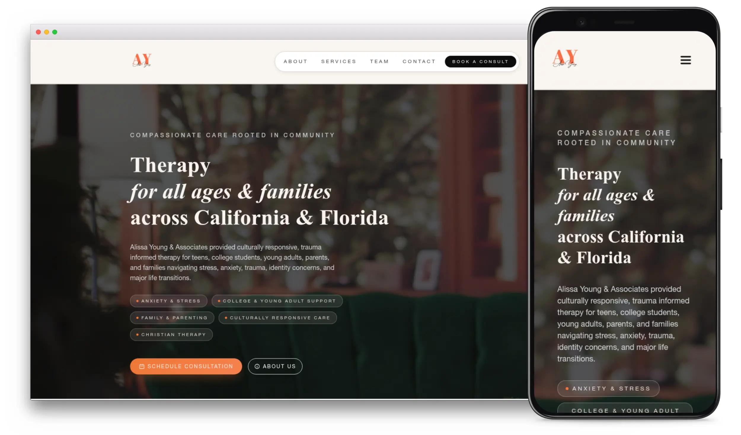 Screenshot of the Alissa Young LCSW website homepage.