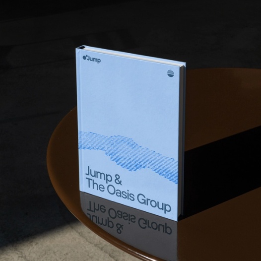 Oasis Group Report Image