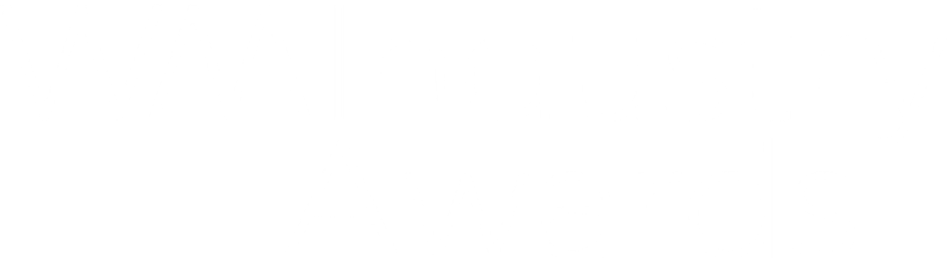 5 Category Winner