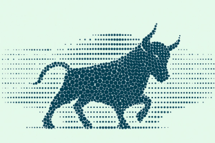 Jump themed bull