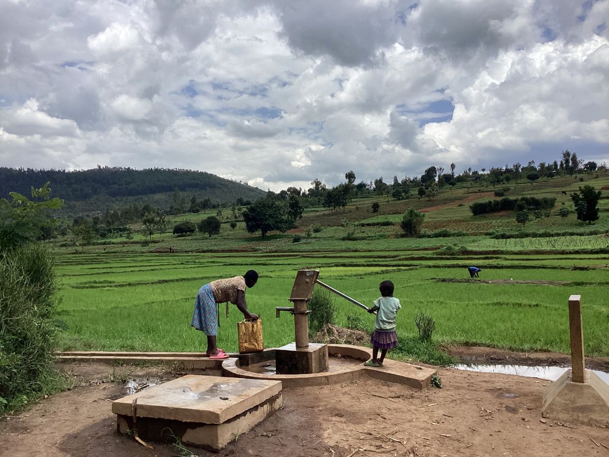 Importance of Environmental Conservation
