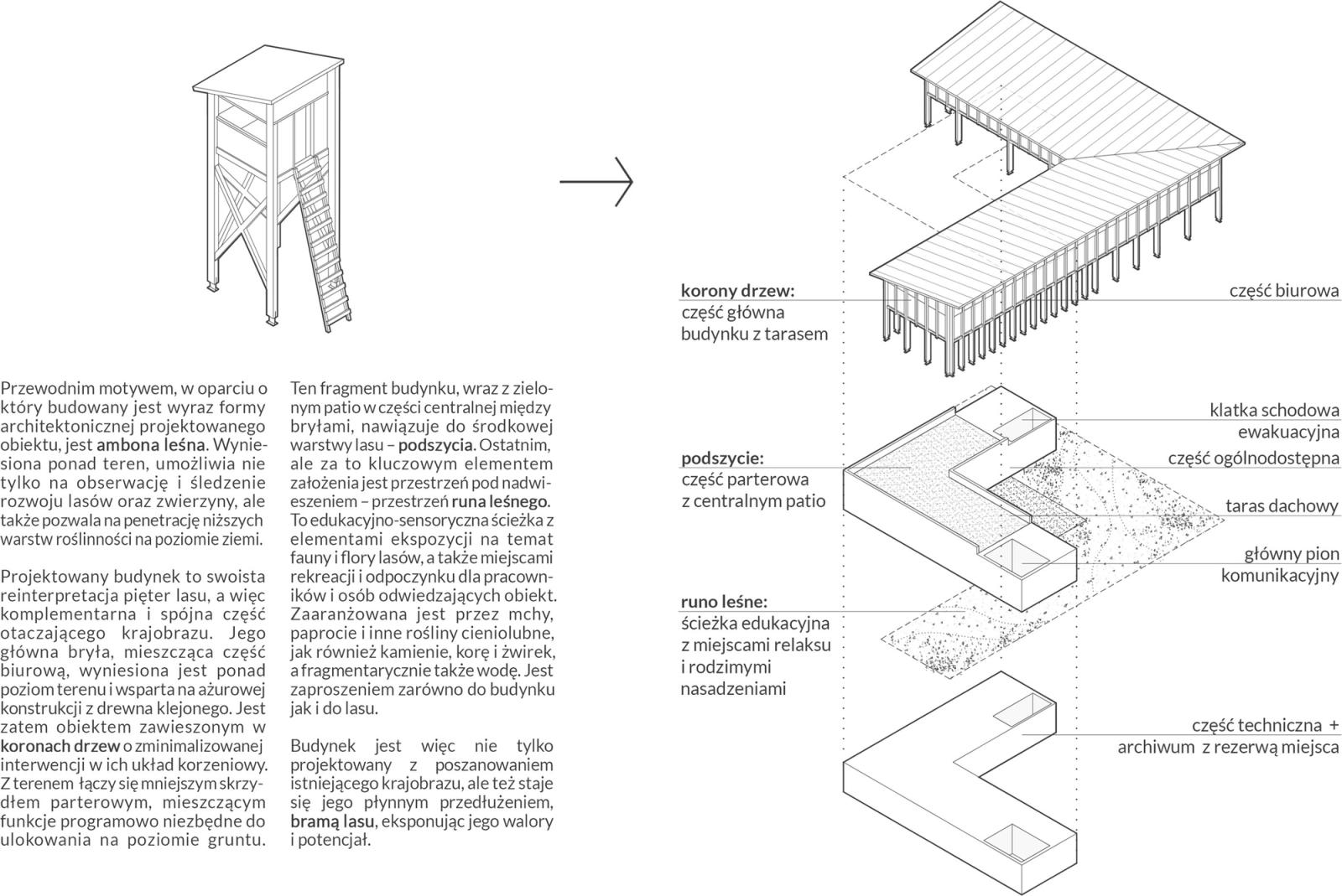 Diagram warstw lasu: forest floor, understory, tree canopy.