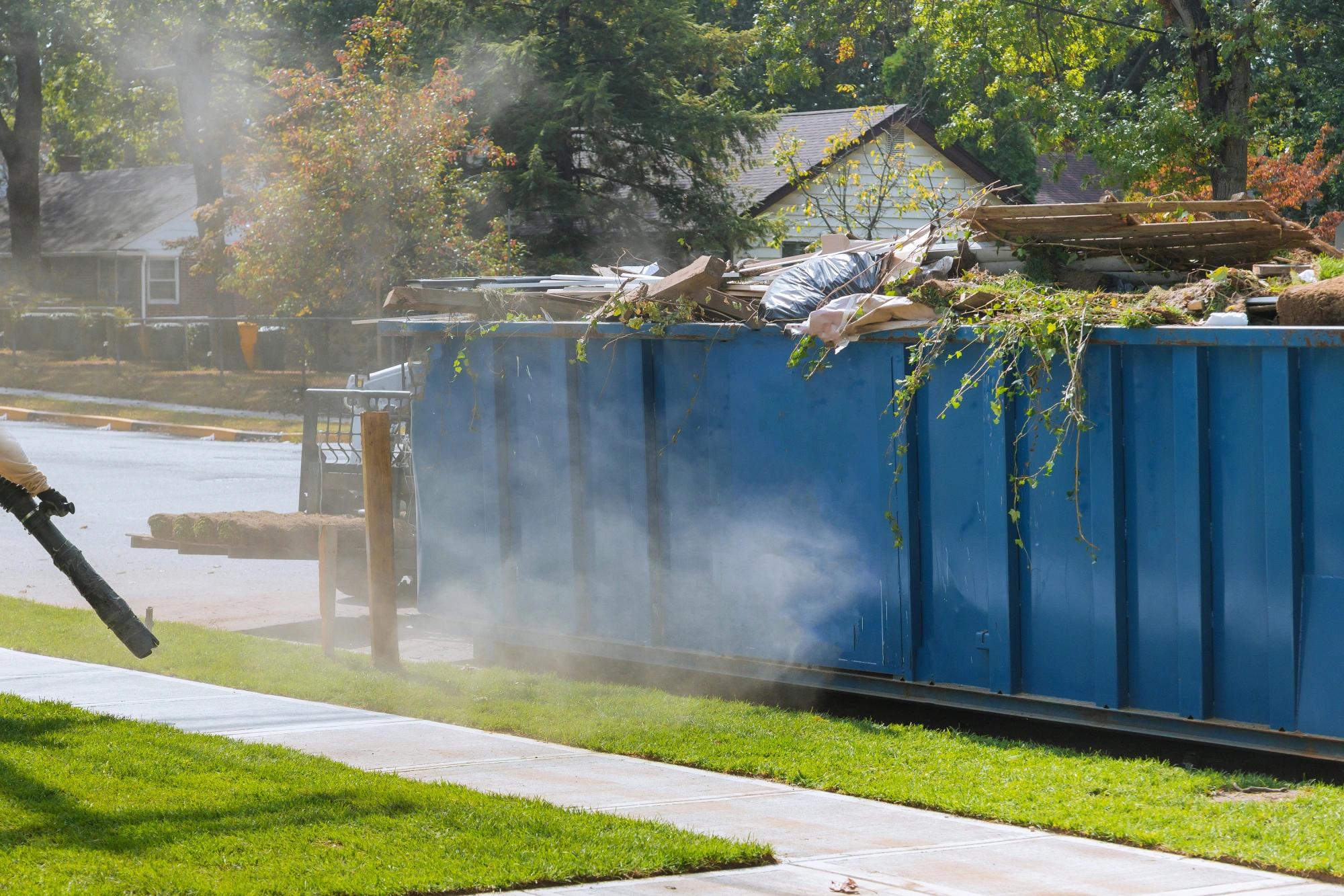 Yard and Construction Cleanup