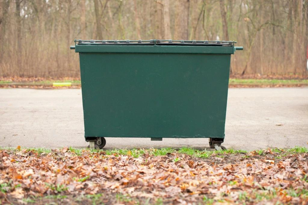 Dumpster Rental Tips
