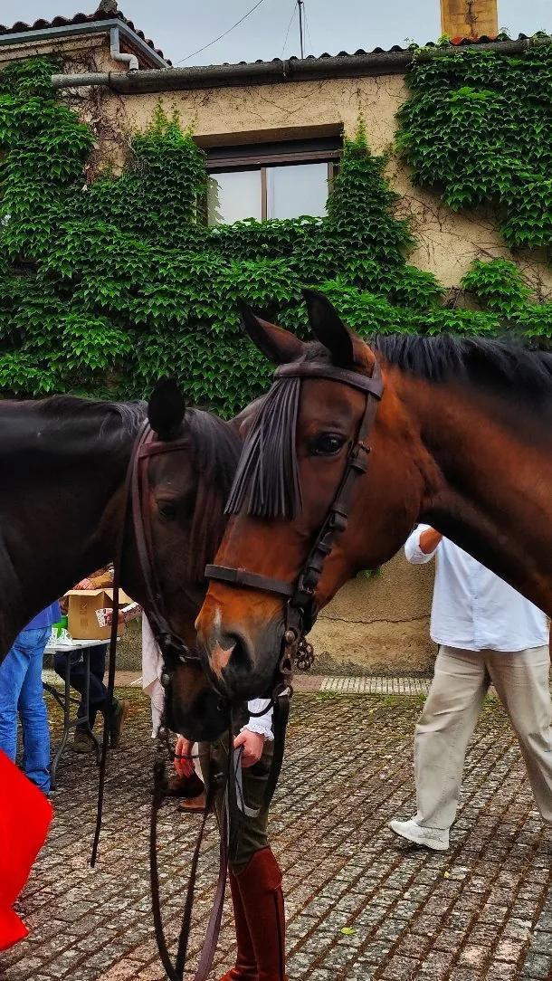 Festival Carlos V y el Jamón de Montánchez con tradición y gastronomía