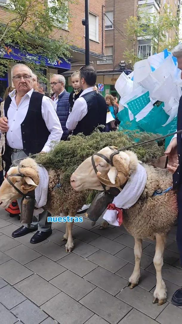 Celebración de Las Mondas en Talavera de la Reina y su comarca
