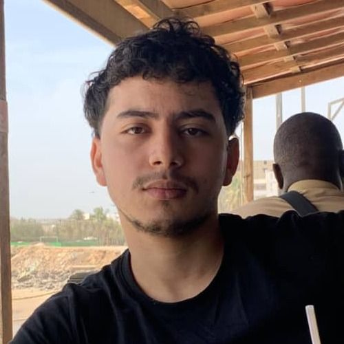 houssam - an expert dentist