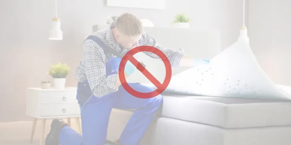 How Misidentifying Bites Leads to Bed Bug Spread